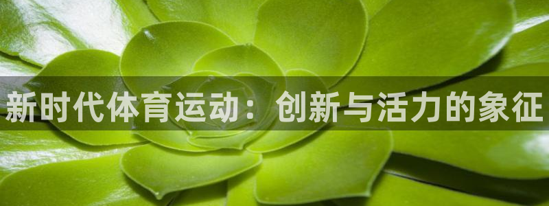 3377体育官网下载招商电话号码是多少号：新时代体育