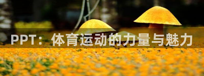 3377体育官网下载娱乐：PPT：体育运动的力量与魅