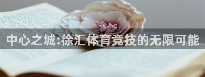 3377体育官方正版app开户：中心之城:徐汇体育竞
