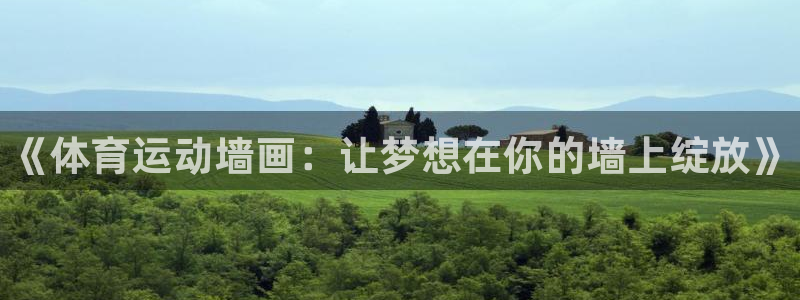 3377体育官网下载招商电话是多少啊：《体育运动墙画：让梦想