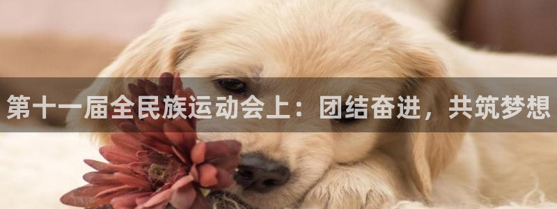 3377体育官方正版app集团