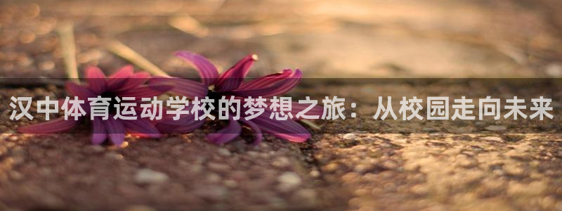 3377体育官网下载平台注册要钱吗安全吗：汉中体育运