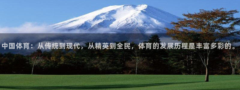 3377体育官方正版app官方