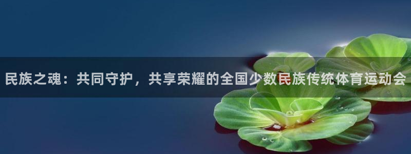 3377体育官方正版app科技：民族之魂：共同守护，共享荣耀