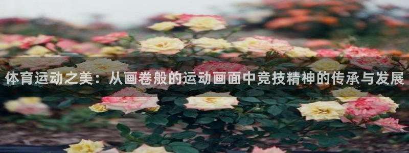 3377体育官方正版app娱乐平台：体育运动之美：从画卷般的