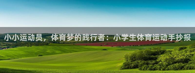 3377体育官方正版app娱乐平台：小小运动员，体育