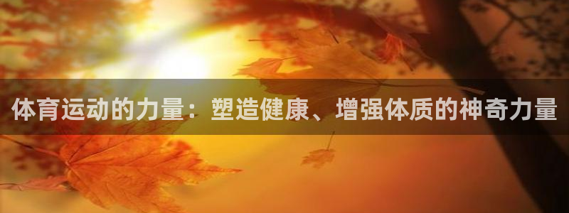 3377体育官网下载招商电话号码查询：体育运动的力量
