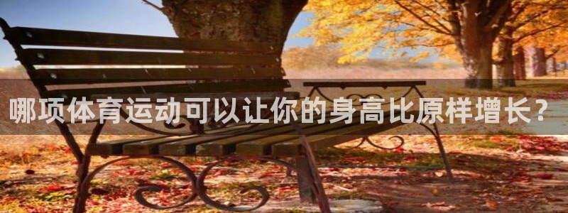 3377体育官网下载招商电话号码查询：哪项体育运动可