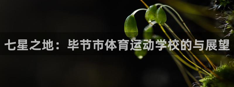 3377体育官方正版app官网