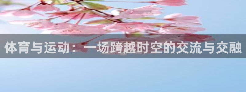 3377体育官方正版app娱乐下载