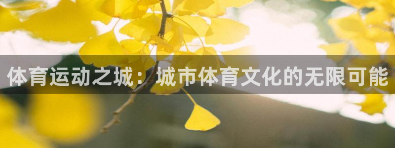 3377体育官方正版app娱乐代理怎么样：体育运动之