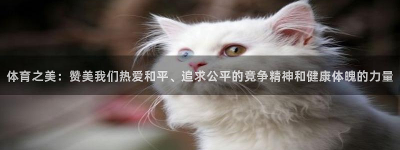 3377体育官方正版app娱乐首页官网下载:体育之美:赞美我