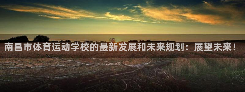 3377体育官方正版app集团官网网址