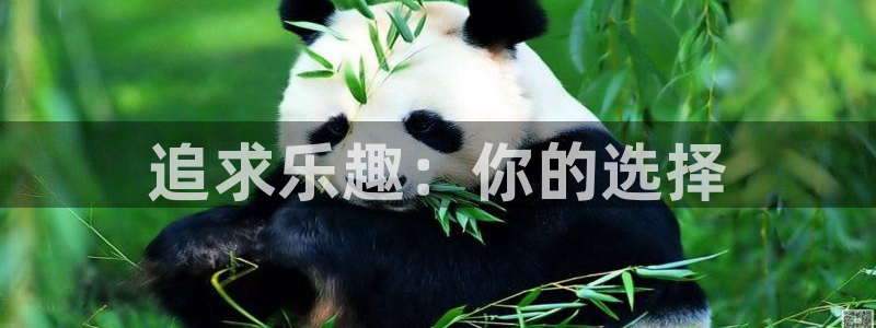 3377体育官网下载联系电话：追求乐趣：你的选择