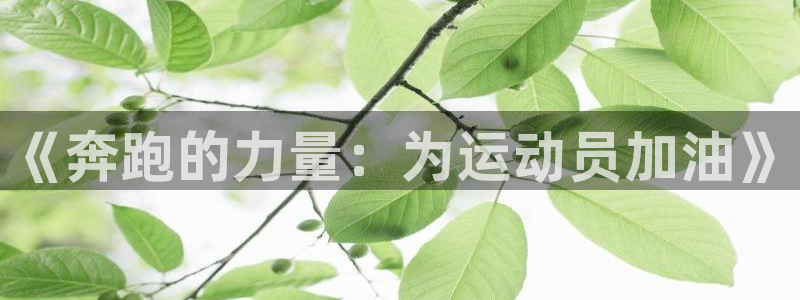 3377体育官网下载招商电话号码查询